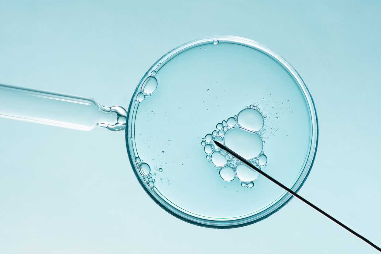 How IVF Works Alongside a Gestational Surrogacy